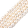 Natural Cultured Freshwater Pearl Beads Strands PEAR-I007-01B-02B-01-2