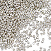 50G Glass Seed Beads SEED-PA0001-36B-01-1