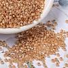 MIYUKI Round Rocailles Beads SEED-X0055-RR0580-1