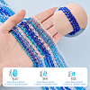24Strands 12 Styles Transparent Faceted Glass Beads GLAA-GA0002-04-2