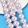 Electroplated Shell Pearl Beads Strands BSHE-G041-16mm-06-5