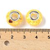 Transparent Resin Rondelle European Beads LS-RESI-S023-25-3