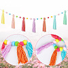 Wool Felt Ball Tassel Garland Banner DIY-WH20011-28A-6