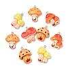 30Pcs 5 Styles Resin Pendants RESI-CJ0005-20-8