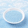 MIYUKI Round Rocailles Beads SEED-G007-RR0524-2