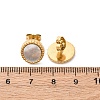 304 Stainless Steel Natural White Shell Stud Earrings EJEW-Z103-02G-02-4