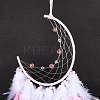 Iron Woven Web/Net with Feather Pendant Decorations LS-AJEW-P097-02-3