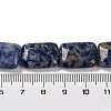 Natural Blue Spot Jasper Beads Strands G-T047-B10-01-5