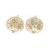 Tibetan Style Zinc Alloy Pendants TIBEP-EA11591YKG-AG-FF-2