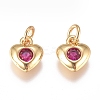 Brass Micro Pave Cubic Zirconia Charms ZIRC-G168-58G-02-1