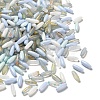Painted Glass Beads GLAA-C037-01C-1