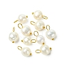 10Pcs Natural Cultured Freshwater Pearl Two Sides Polished Charms PALLOY-YW00075-01-1