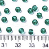 6/0 Transparent Glass Seed Beads SEED-S040-09A-05-4
