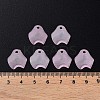 Transparent Acrylic Beads X-MACR-S373-106-D05-5