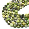 Natural Serpentine Beads Strands G-C116-A14-02-3
