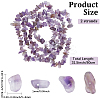 2 Strands Natural Amethyst Chip Beads Strands G-PA0001-57-2