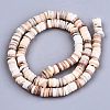 Natural Freshwater Shell Beads Strands X-SHEL-N026-94A-01-2
