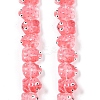 Transparent Glass Enamel Beads Strands GLAA-B021-05H-1
