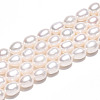 Natural Cultured Freshwater Pearl Beads Strands PEAR-N012-07X-01-2