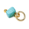 Dyed Natural Freshwater Shell Nuggets Charms PALLOY-JF04375-01-5