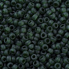 MIYUKI Round Rocailles Beads X-SEED-G007-RR0156F-3