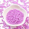 Opaque Colours Glass Seed Beads SEED-A033-06I-2