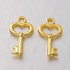 Gifts Ideas for Her Tibetan Style Alloy Charms TIBEP-LF11975Y-G-FF-1