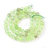 Natural Prehnite Beads Strands G-I250-01C-2