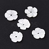 Natural Trochid Shell/Trochus Shell Beads SHEL-P014-02A-1