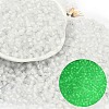 6/0 Luminous Glass Seed Beads SEED-NH0001-01A-1