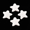Handmade Porcelain Beads PORC-N008-03F-1