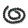 Natural Moss Agate Beads Strands G-E571-21C-3