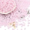 Baking Paint Glass Seed Beads SEED-L011-09A-09-1