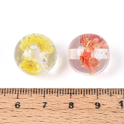 Transparent Resin & Gold Foil & Dried Flower Round Beads RESI-T060-44M-1
