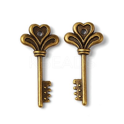 Tibetan Style Alloy Pendants X-TIBEP-16487-AB-FF-1
