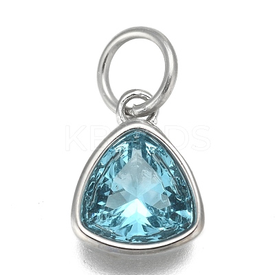 304 Stainless Steel Cubic Zirconia Pendant ZIRC-P080-B03-1