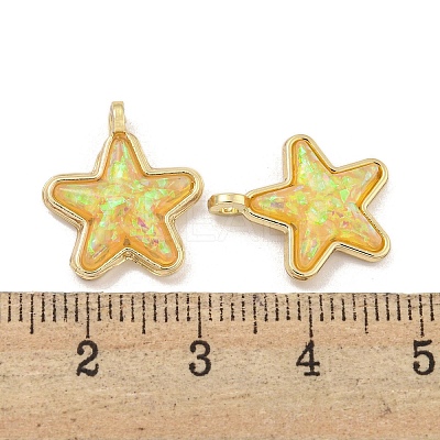 Translucent Resin Pendants KK-M291-24F-1