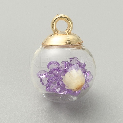 Transparent Glass Globe Pendants GLAA-TAC0005-002B-1