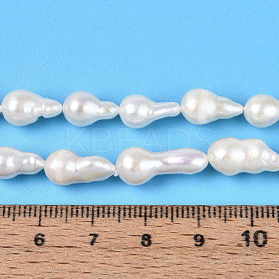 Natural Baroque Keshi Pearl Beads Strands PEAR-S020-F14-02-1