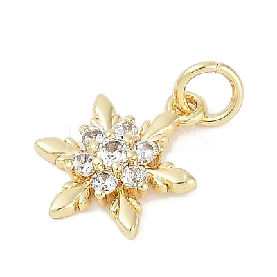 Rack Plating Brass Micro Pave Cubic Zirconia Pendants KK-H509-12G-02-1