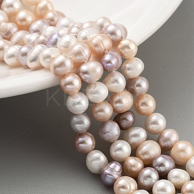 Natural Cultured Freshwater Pearl Beads Strands PEAR-C003-13E-1