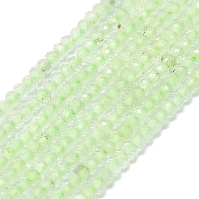 Natural Prehnite Beads Strands G-G106-A26-01-1