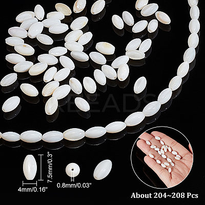 4 Strands Natural Freshwater Shell Beads Strands SHEL-NB0001-53-1