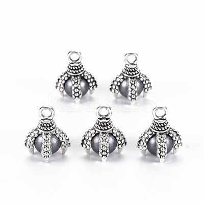 Tibetan Style Alloy Charms PALLOY-S120-249F-RS-1