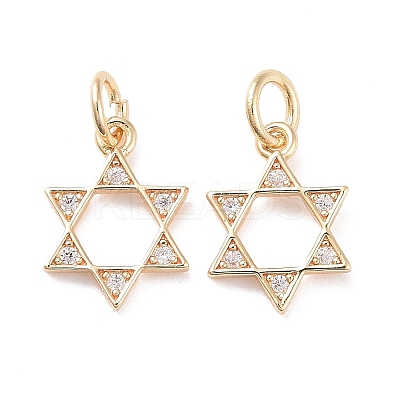 Brass Micro Pave Clear Cubic Zirconia Charms LS-KK-G418-01G-1