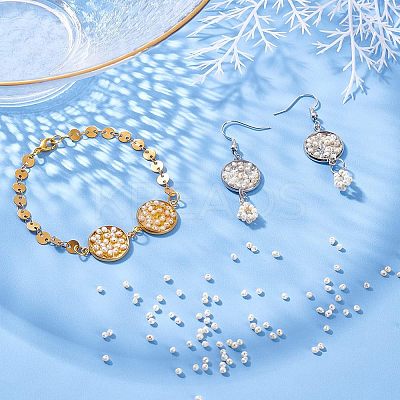 1 Strand Natural Cultured Freshwater Pearl Beads Strands PEAR-NB0001-36-1