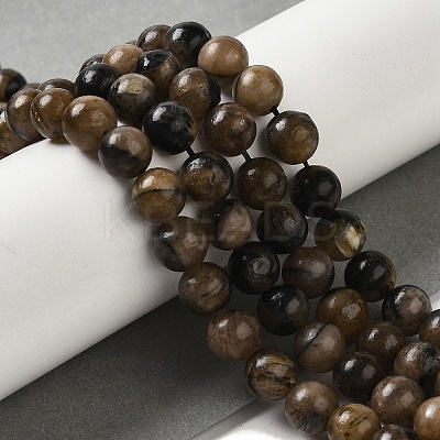 Natural Chiastolite Beads Strands G-Q161-A03-03-1