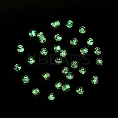 Glow in the Dark Luminous Transparent 8/0 Glass Seed Beads SEED-YWC0001-01H-1