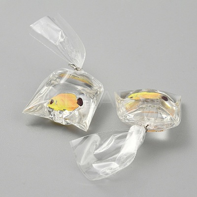 Transparent Resin Big Pendants RESI-TAC0024-01D-1