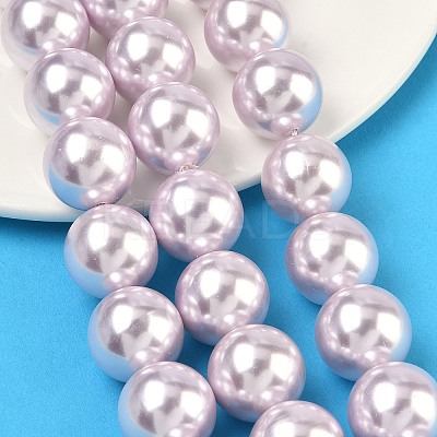 Electroplated Shell Pearl Beads Strands BSHE-G041-16mm-06-1
